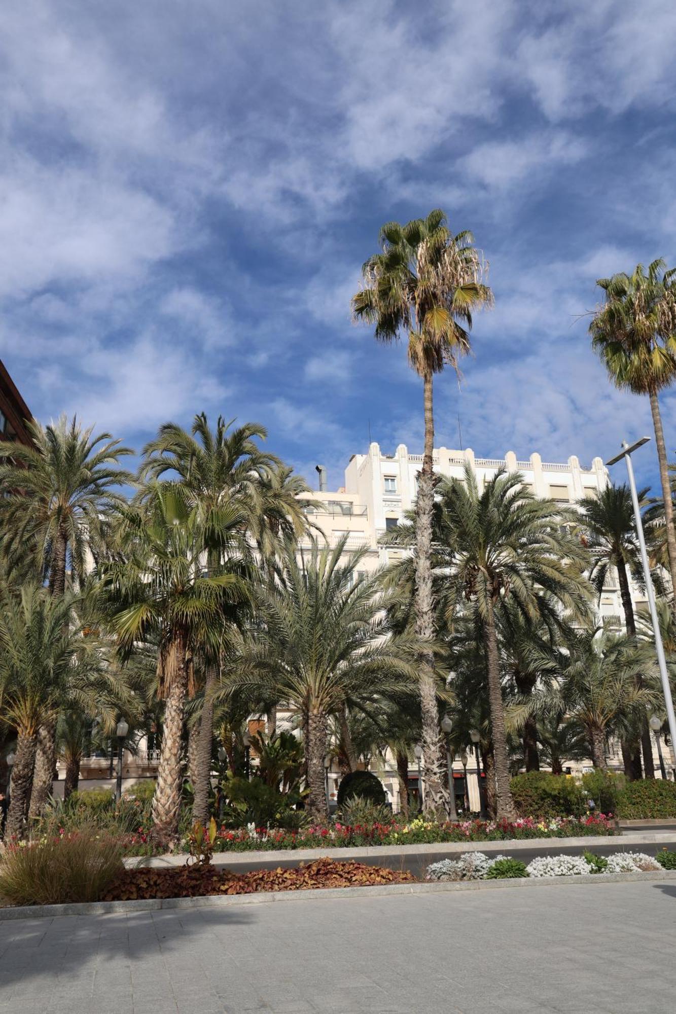 Accommodatie bij particulieren Alicantan Vital Experience Alicante