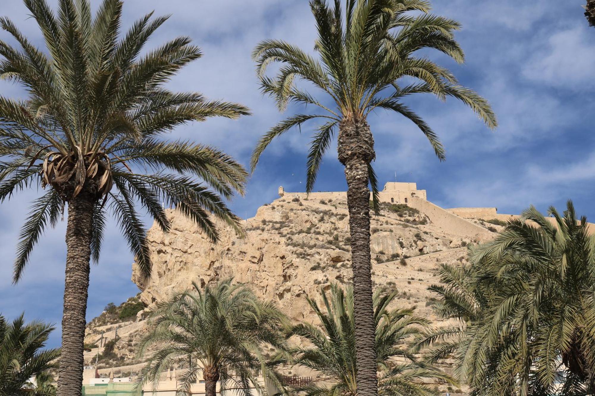Accommodatie bij particulieren Alicantan Vital Experience Alicante